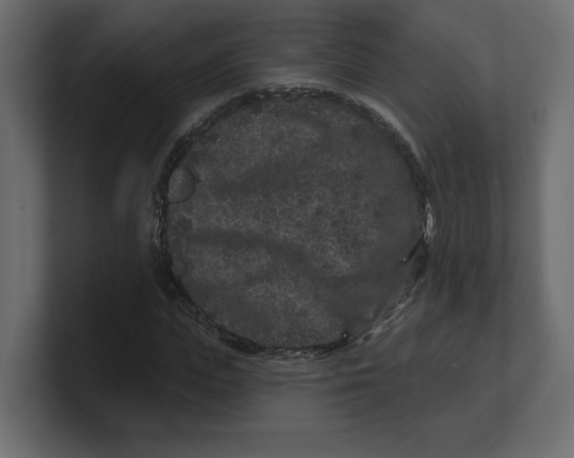 X0000100360823200806271422