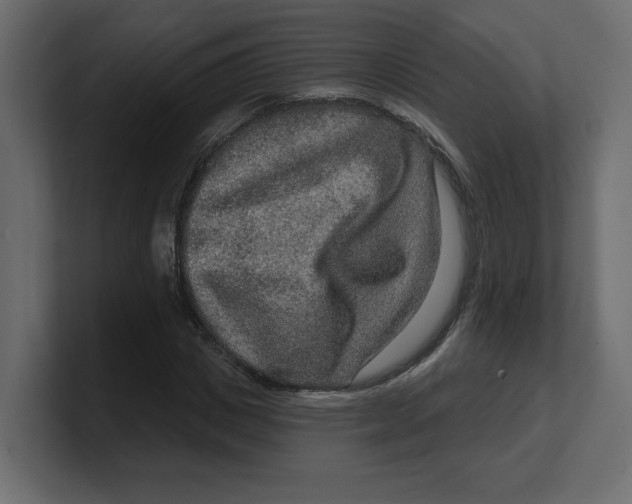 X0000100360825200806271422