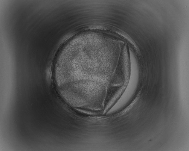 X0000100360826200806271422