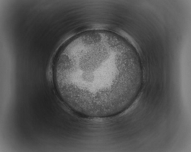 X0000100360827200806271422