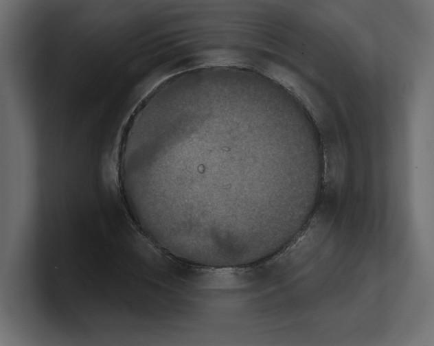 X0000100360828200806271422