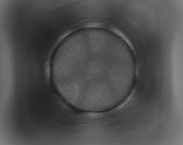 X0000100360829200806271422