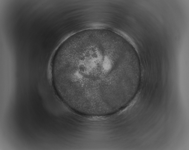 X0000100360835200806271422