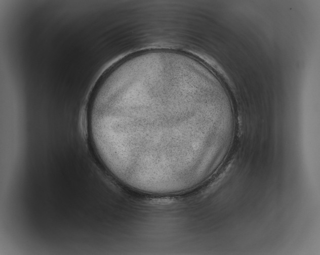 X0000100360838200806271422