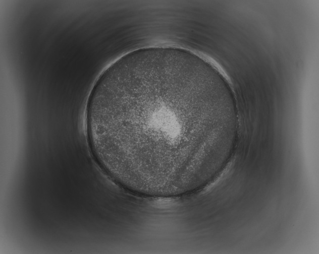 X0000100360839200806271422