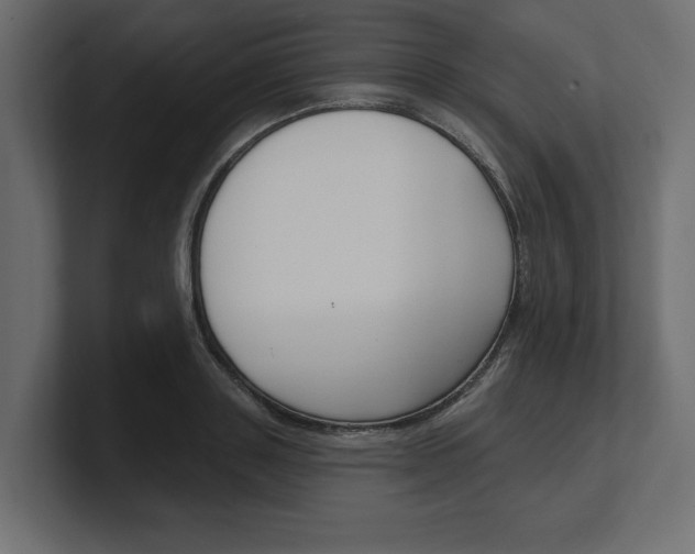 X0000100360843200806271422