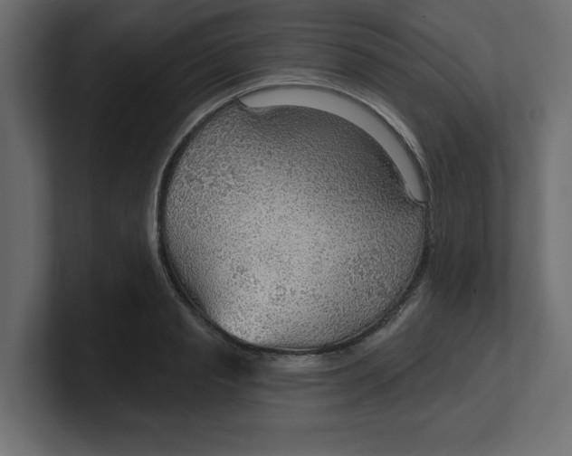 X0000100360845200806271422