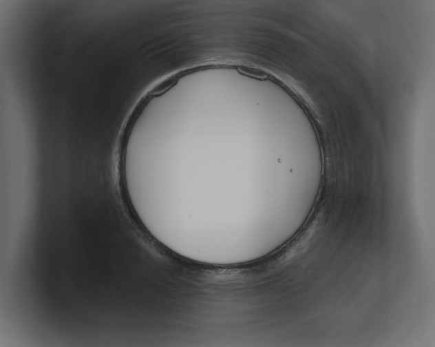 X0000100360846200806271422