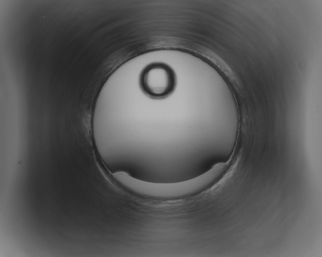 X0000100360849200806271422