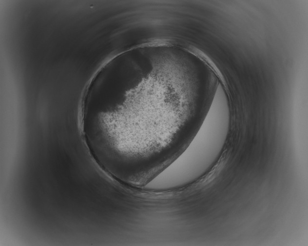 X0000100360851200806271422