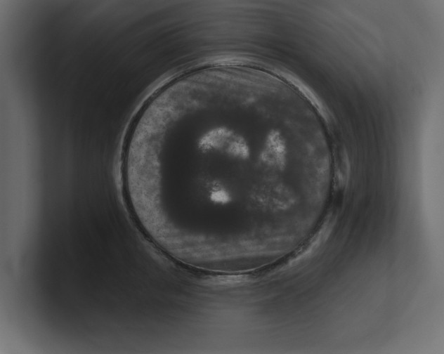 X0000100360853200806271422