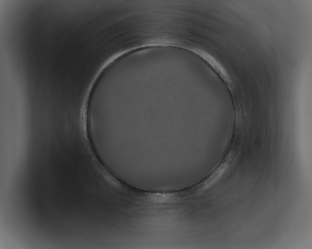 X0000100360854200806271422