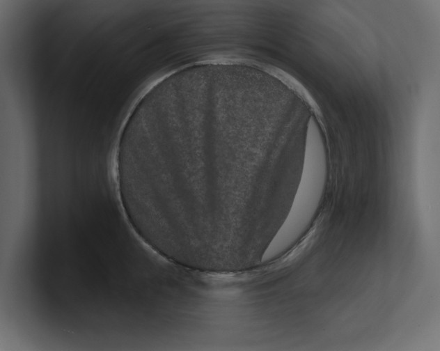 X0000100360855200806271422