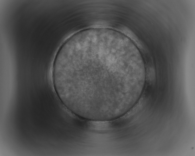 X0000100360856200806271422