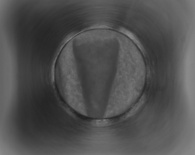 X0000100360858200806271422