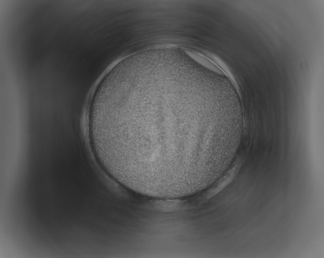 X0000100360859200806271422