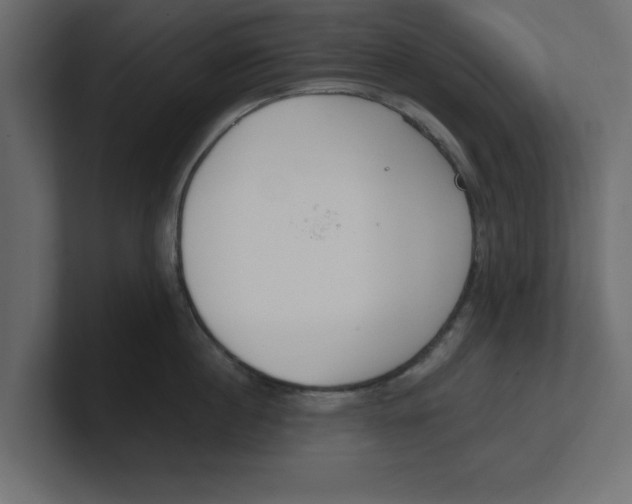 X0000100360860200806271422