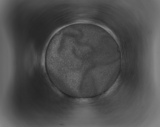 X0000100360862200806271422