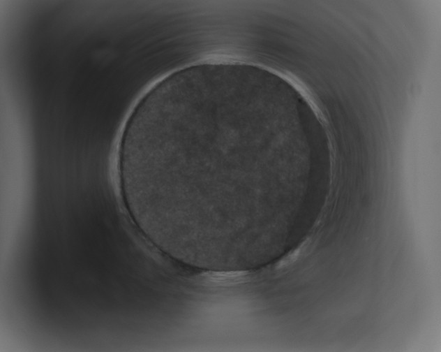 X0000100360864200806271422