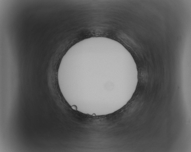 X0000100360865200806271421