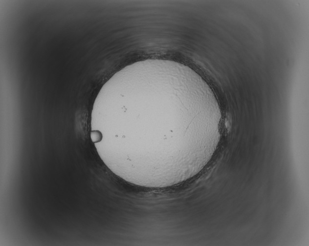 X0000100360867200806271421