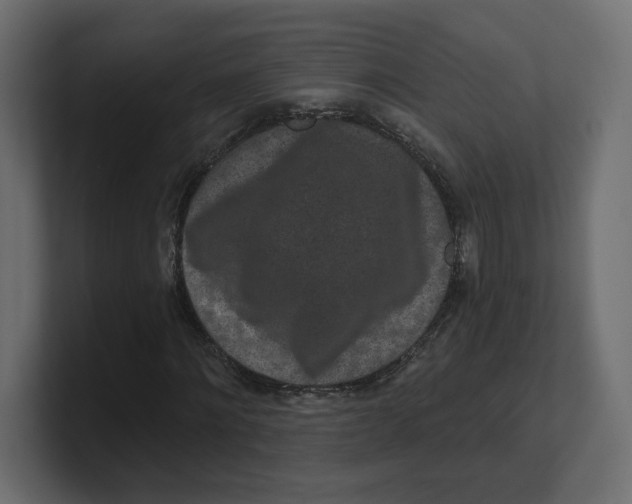 X0000100360868200806271421