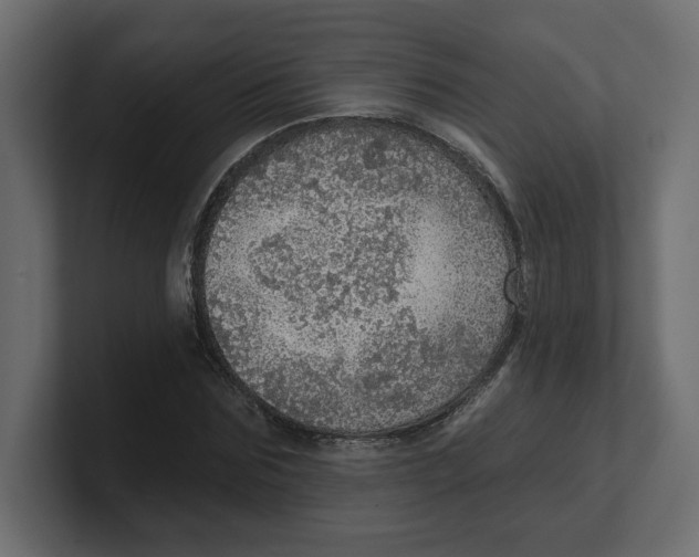 X0000100360875200806271421