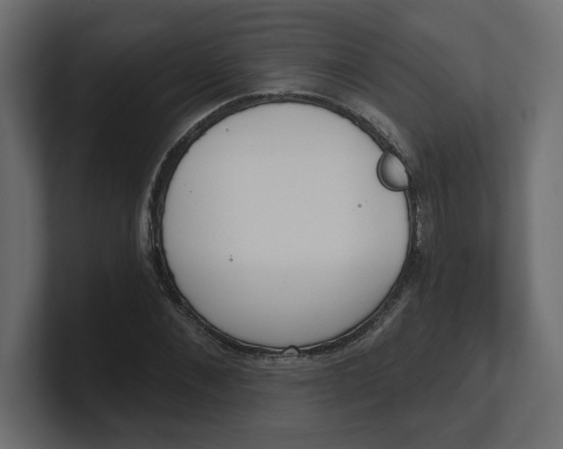 X0000100360876200806271421