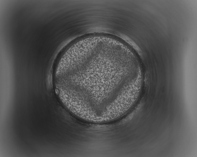 X0000100360877200806271421