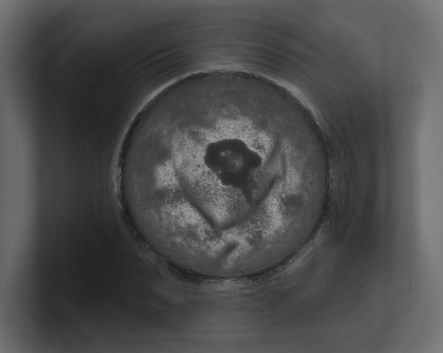 X0000100360879200806271421