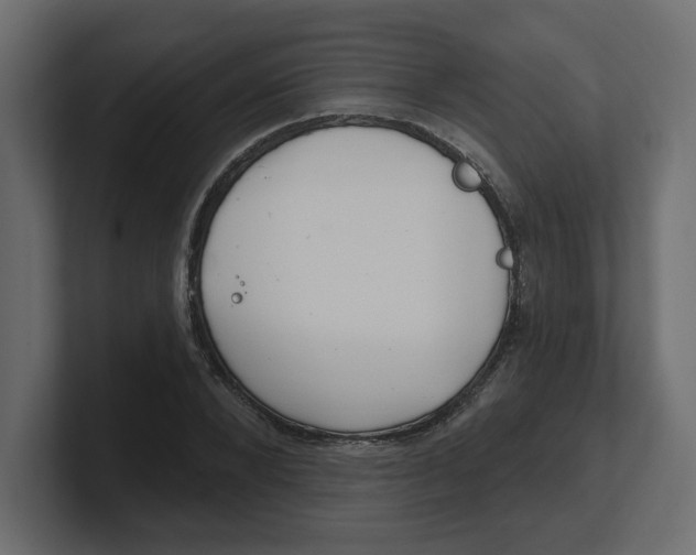 X0000100360880200806271421