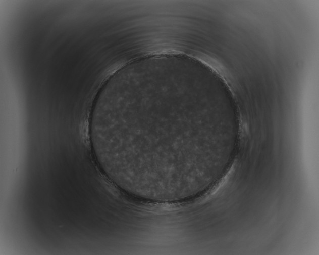 X0000100360881200806271421