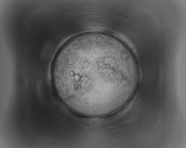 X0000100360883200806271421