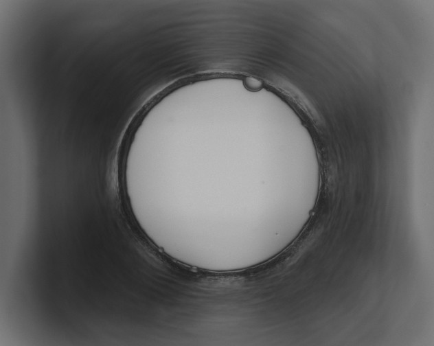 X0000100360884200806271421