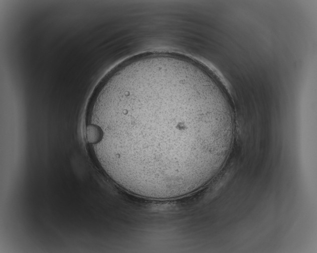 X0000100360887200806271421