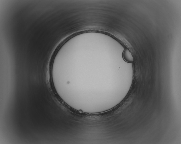 X0000100360888200806271421