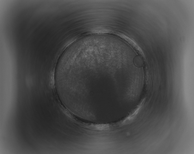 X0000100360889200806271421