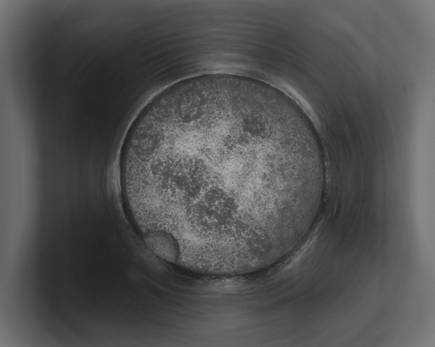 X0000100360891200806271421