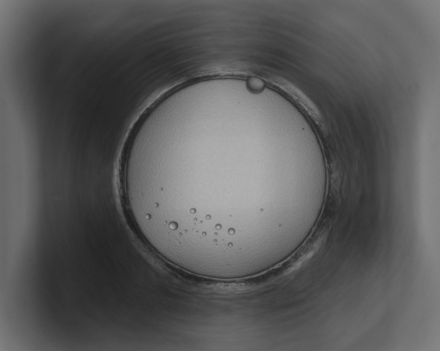 X0000100360893200806271421