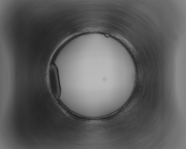 X0000100360894200806271421