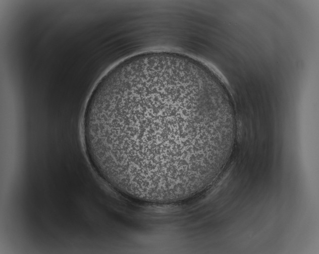 X0000100360895200806271421