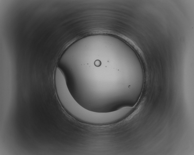 X0000100360897200806271421