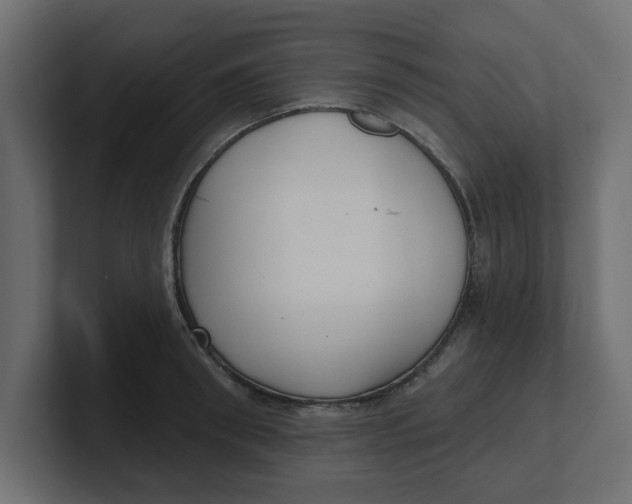 X0000100360898200806271421