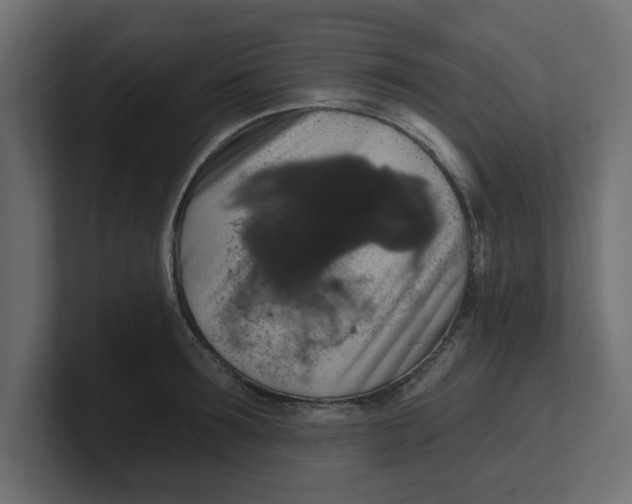 X0000100360899200806271421