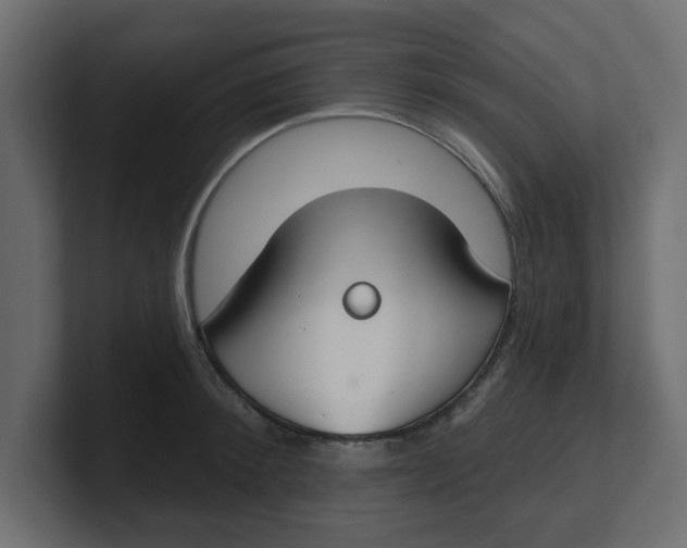 X0000100360900200806271421