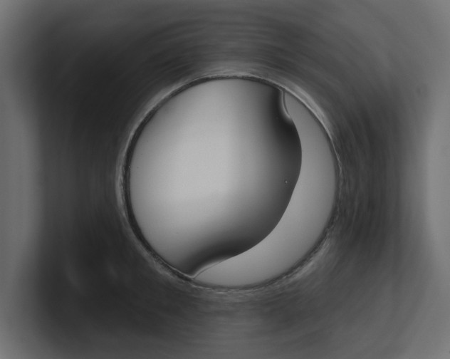 X0000100360901200806271421