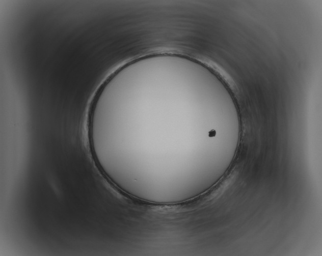 X0000100360902200806271421