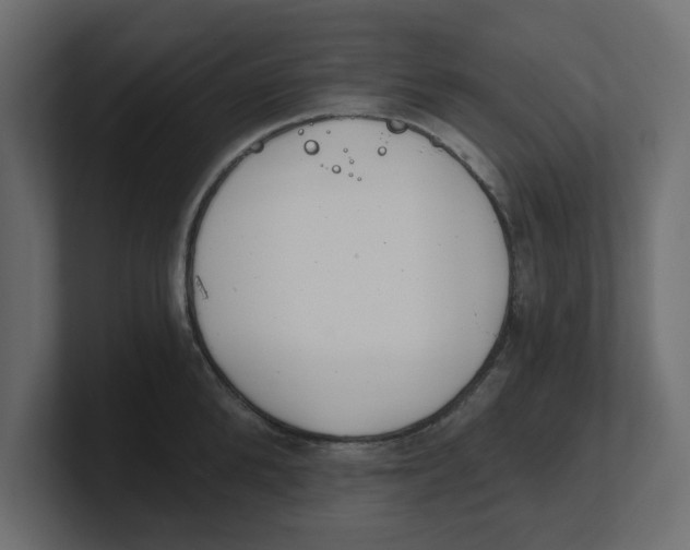 X0000100360904200806271421