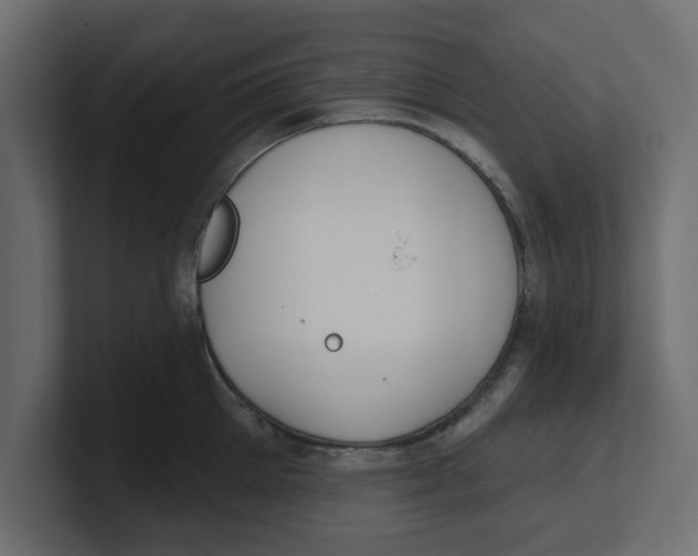 X0000100360905200806271421