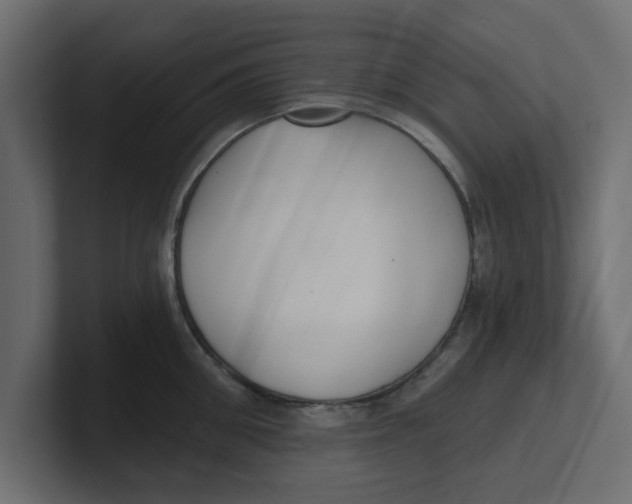 X0000100360906200806271421